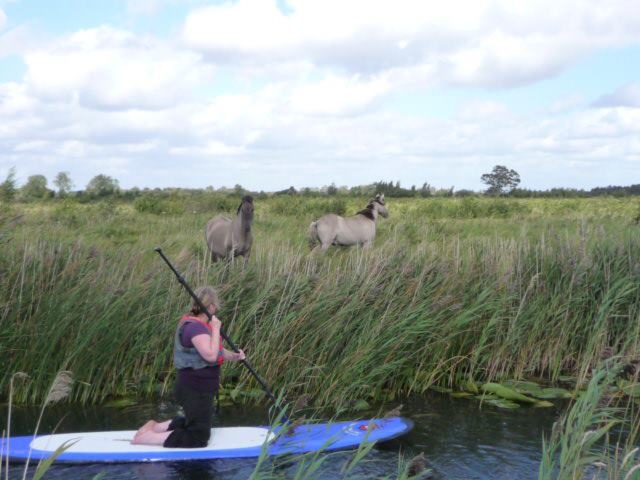 Where SUP can take you